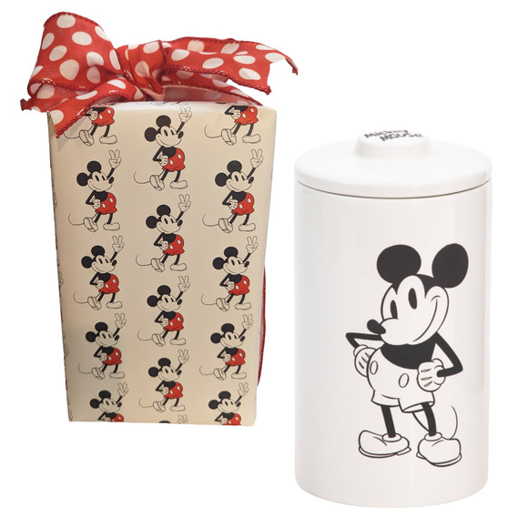 DISNEY Mickey Posed Canister - Gift Wrapped - Picture 1 of 4